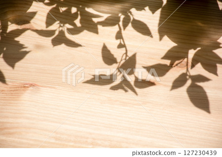 Shadows of Leaves on Wooden Surface 127230439