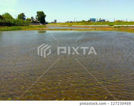 吹著初夏微風的上田風景 127230489