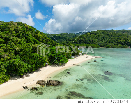Aerial view of white beach with coconut trees and clear sea water. Romblon, Romblon. Philippines. 127231244