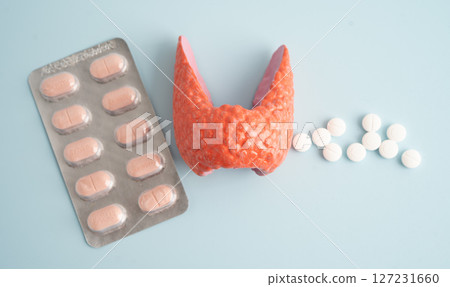 Thyroid model with pill drug treatment, Hyperthyroidism, Overactive or Lymphoma. 127231660