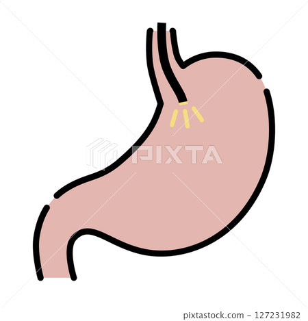 Stomach being examined with a gastroscope 127231982