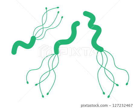 Helicobacter pylori illustration (gradient color) 127232467