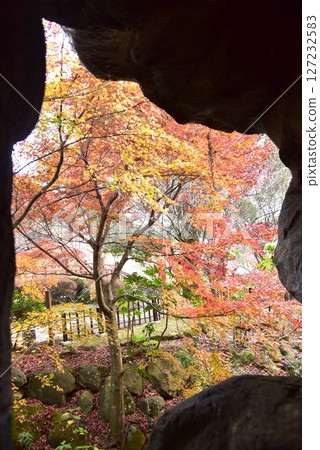 靜岡縣熱海梅園梅見瀑布附近色彩繽紛的秋葉 靜岡縣熱海梅園梅見瀑布附近色彩繽紛的秋葉 127232583
