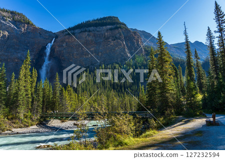 夏日清晨，幽鶴河流經幽鶴國家公園的森林（加拿大不列顛哥倫比亞省） 127232594