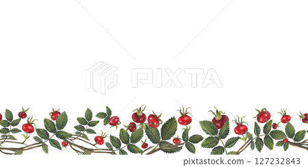 Horizontal seamless border of rose hips berries and leaves Illustration isolated on white background for fabric, textile, prints, design, cards.  127232843