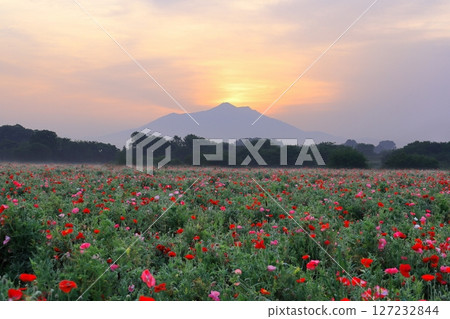 Mount Tsukuba as seen from the hoppy fields of Kokaigawa Park Mount Tsukuba as seen from the hoppy fields of Kokaigawa Park 127232844