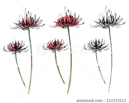 Red spider lily (plant 2) Red spider lily (plant 2) 127233523