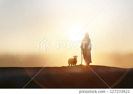 Shepherd Jesus Christ walking with sheep in wide meadow, silhouette with brilliant sun sunset, Jesus and sheep background Shepherd Jesus Christ walking with sheep in wide meadow, silhouette with brilliant sun sunset, Jesus and sheep background 127233622