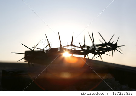 Soil in two hands and fresh green plant sprout seedlings, beautiful and precious earth environment and nature and life background 127233832