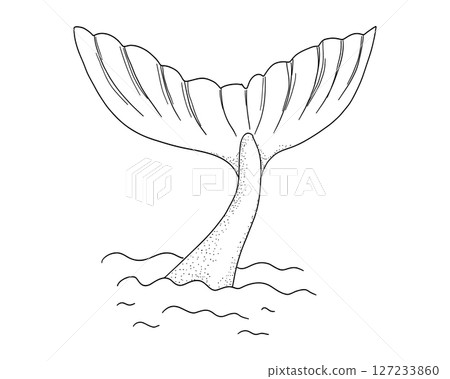 Whale tail retro dots texture with water splash circles stars line sketch minimal geometric tattoo. Mermaid or ocean mammal with waves vintage. Whale tail retro dots texture with water splash circles stars line sketch minimal geometric tattoo. Mermaid or ocean mammal with waves vintage. 127233860