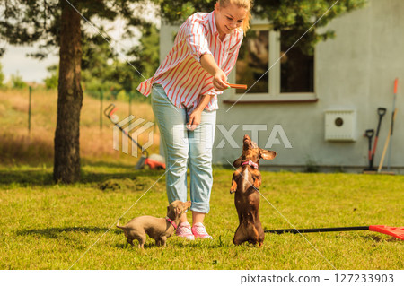 Woman playing pinscher ratter dog outside Woman playing pinscher ratter dog outside 127233903