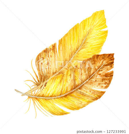 Hand-painted watercolor illustration of two yellow and brown bird feathers. Ideal for spring designs, boho decor, rustic themes, Easter elements, and natural woodland compositions. Hand-painted watercolor illustration of two yellow and brown bird feathers. Ideal for spring designs, boho decor, rustic themes, Easter elements, and natural woodland compositions. 127233991