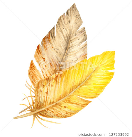 Watercolor illustration of two bird feathers in warm yellow and brown tones. Natural hand-painted composition suitable for spring designs, boho style, Easter decor, and rustic nature projects. Watercolor illustration of two bird feathers in warm yellow and brown tones. Natural hand-painted composition suitable for spring designs, boho style, Easter decor, and rustic nature projects. 127233992