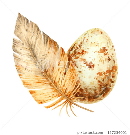 Watercolor illustration of a brown feather and speckled egg. A natural spring-themed composition perfect for Easter designs, wildlife projects, and rustic, eco-inspired creative works. 127234001