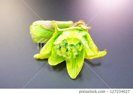 吹牛頭 吹牛頭 127234027