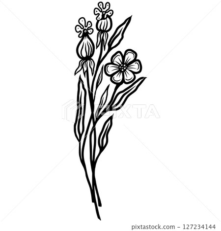 Hand Drawn Minimal Linear Vector Floral Pattern 127234144