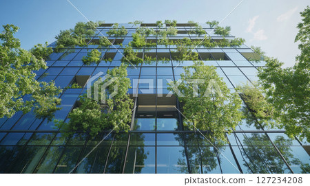 Green Tree Reflected in Modern Glass Office Building Green Tree Reflected in Modern Glass Office Building 127234208