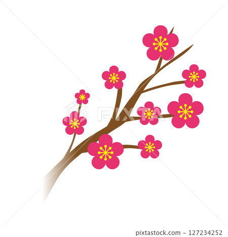 Plum branch illustration 127234252