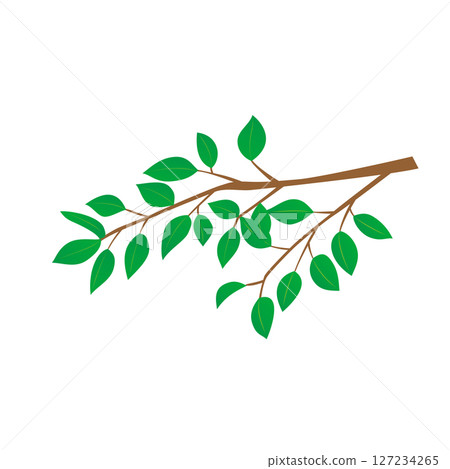 Deep green season young leaves illustration 127234265