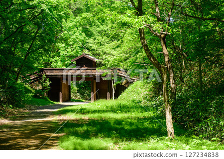 Esashi Fujiwara no Sato Castle Fort, Kuriyagawa Fort, Iwate Prefecture Esashi Fujiwara no Sato Castle Fort, Kuriyagawa Fort, Iwate Prefecture 127234838