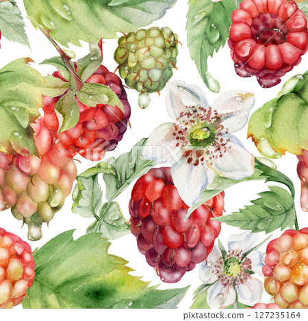 Raspberry ripe garden berries, flowers in water dew drops hand drawn in watercolor. Seamless isolated pattern tile. Home preserves, textile linens wallpaper, food store decor, packaging, scrapbooking Raspberry ripe garden berries, flowers in water dew drops hand drawn in watercolor. Seamless isolated pattern tile. Home preserves, textile linens wallpaper, food store decor, packaging, scrapbooking 127235164