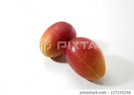 宮崎縣產的成熟芒果 127235246