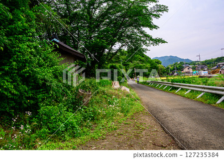 Scenery of the farm road in Kiyokawa Village Scenery of the farm road in Kiyokawa Village 127235384