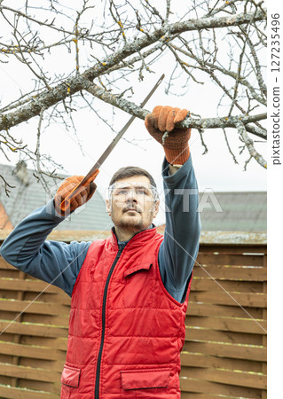 Pruning trees in an autumn garden. Close-up of hands with a saw cutting old branches. 127235496