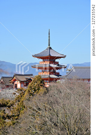 Kiyomizu Temple January 2024 127235542