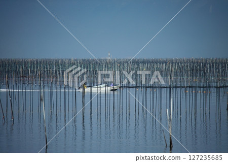 Omuta City Ariake Sea Nori field, Omuta City Ariake Sea Nori field, 127235685