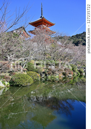 Kiyomizu Temple January 2024 127235722