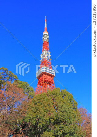 東京都港區東京鐵塔風景 127235950