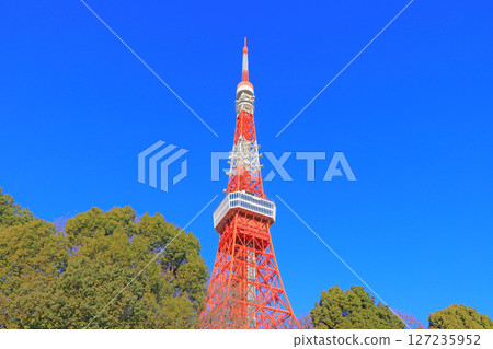 Scenery of Tokyo Tower, Minato-ku, Tokyo Scenery of Tokyo Tower, Minato-ku, Tokyo 127235952