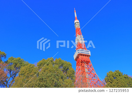東京都港區東京鐵塔風景 127235953