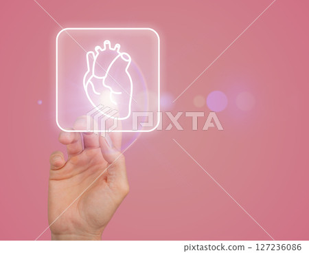 Heart and cardiovascular health concept. Anatomy of the human organ with focus on aorta, arteries, Heart and cardiovascular health concept. Anatomy of the human organ with focus on aorta, arteries, 127236086