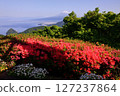 The summit of Mount Katsuragi is bathed in the colours of azalea 127237864