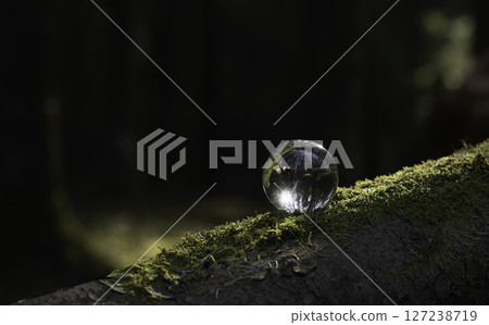 Green globe, environmental concept. Earth planet with transparent glass sphere, surrounded by forest Green globe, environmental concept. Earth planet with transparent glass sphere, surrounded by forest 127238719