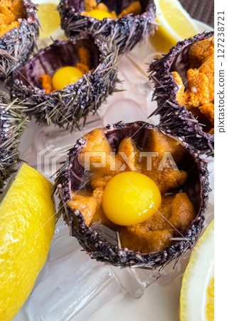 Sea urchin in a ceramic bowl with ice on. Sea urchin dish with quail egg close up Sea urchin in a ceramic bowl with ice on. Sea urchin dish with quail egg close up 127238721