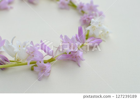 Pink and white scilla flower wreath 127239189