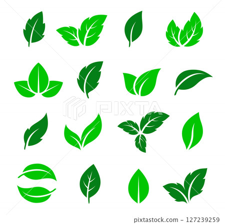 Branches leaves design eco elements set icons 127239259
