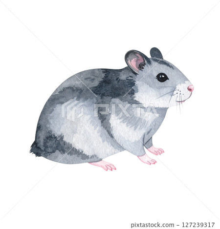 可愛的倉鼠插畫素材 可愛的倉鼠插畫素材 127239317