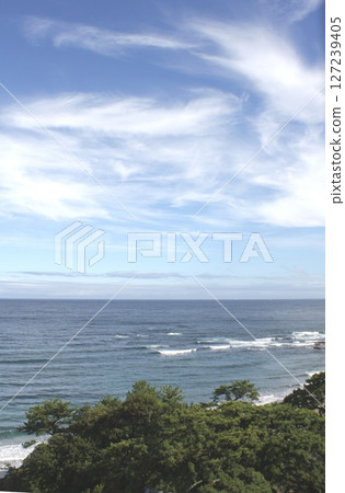 伊豆半島晴朗的日子,從河津町今井濱海灘眺望平靜的相模灣和太平洋 伊豆半島晴朗的日子,從河津町今井濱海灘眺望平靜的相模灣和太平洋 127239405