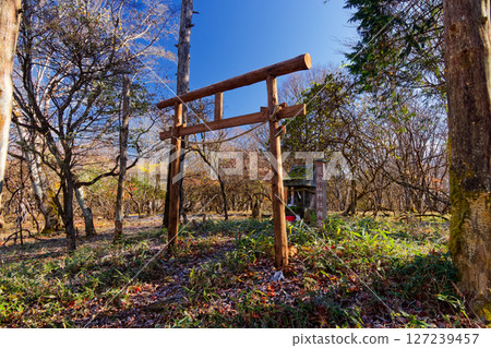 西上州深秋的荒船山神社 西上州深秋的荒船山神社 127239457