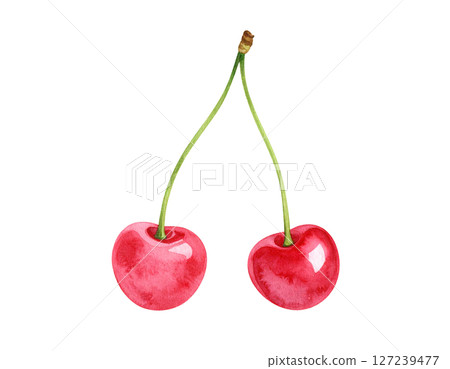 cute cherry illustration 127239477