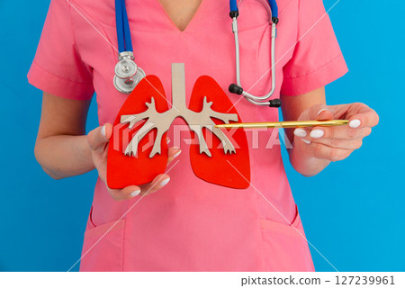 doctor showing pen on a anatomical model of human lung doctor showing pen on a anatomical model of human lung 127239961