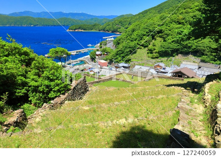 【愛媛縣】石垣村晴天住宿 【愛媛縣】石垣村晴天住宿 127240059