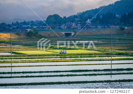 Rice fields bathed in morning light [Azumino] 127240227