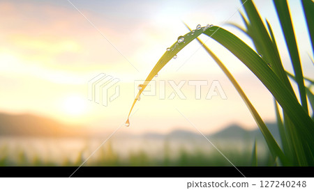 Fresh dew drops falling from a blade of grass at sunrise over misty mountains, creating a serene and peaceful atmosphere Fresh dew drops falling from a blade of grass at sunrise over misty mountains, creating a serene and peaceful atmosphere 127240248