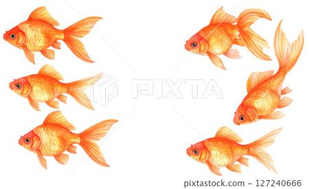 Red goldfish watercolor illustration 127240666