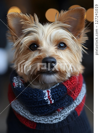 dog wearing tricolor scarf at street party 127241019